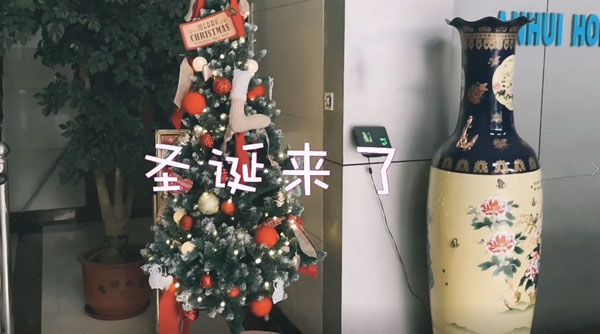 merry christmas at honeyoung