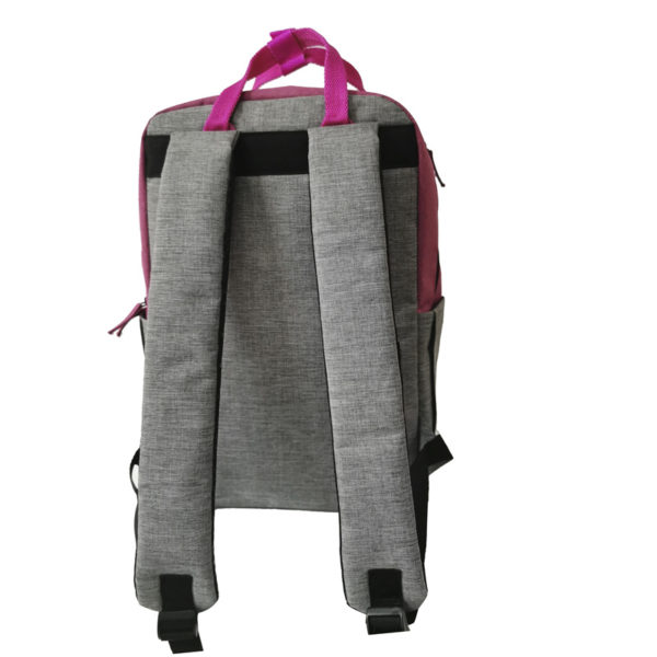 Pink And Gray Backpack